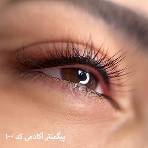بن مژه
