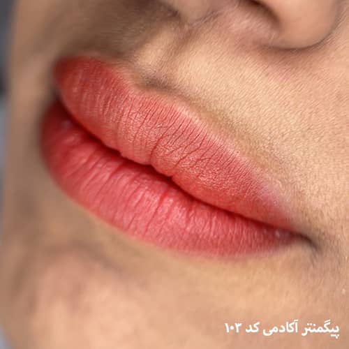ماندگاری شیدینگ لب
