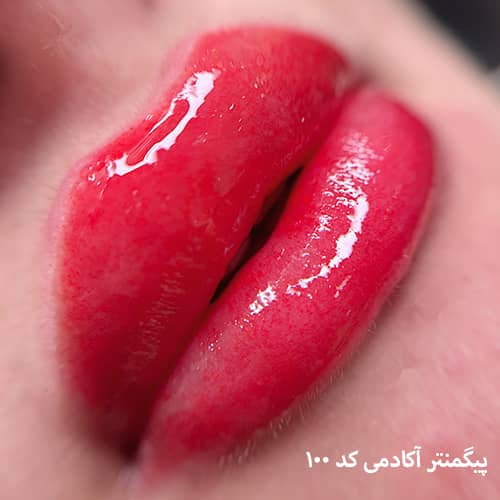 شیدینگ لب