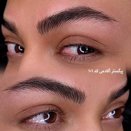 میکروپیگمنتیشن ابرو ۱۰۱