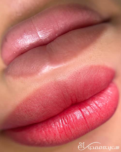 شیدینگ لب - ۱۰۱