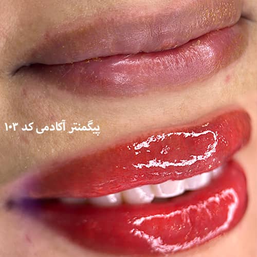 شیدینگ لب