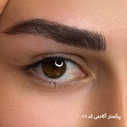 میکروبلیدینگ ابرو ۱۰۱