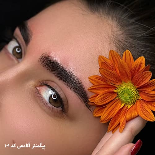 میکروپیگمنتیشن ابرو ۱۰۱